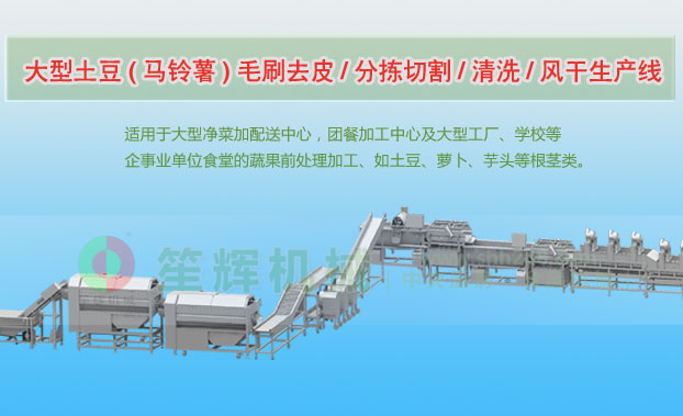 宣恩连续式土豆去皮清洗切割风干生产线